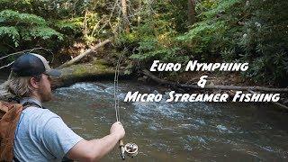 Euro Nymphing Small Streams for Wild Trout