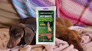 How to deal with Pet Waste - Pet Waste Wizard - Biomaster