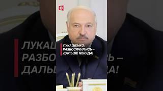 Лукашенко: Разбосячились – дальше некуда! #лукашенко #батька #беларусь #новости #политика #президент