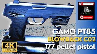 GAMO PT-85 / Blowback C02 Pistol - View & Set Up.