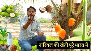 नारियल की खेती पूरे भारत में || Coconut Farming || Hello Kisaan