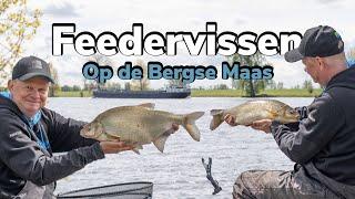 Feedervissen op de Bergse Maas |  Arnout Van de Stadt