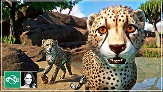  Planet Zoo | Live Stream | Let's Play Franchise Mode