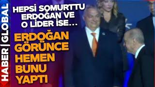 NATO Aile Fotoğrafından Herkes Somurturken Erdoğan O Lideri Görünce Hemen Bunu Yaptı!