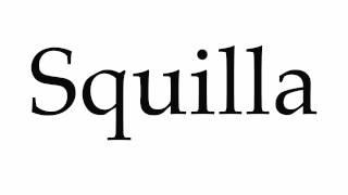 How to Pronounce Squilla