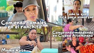 FUIMOS AL MANDADO + INVITÉ A MI HERMANA ROSA A LOS TAMALES AL RANCHITO + CORTAMOS CIRUELAS