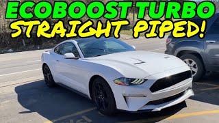 2020 Ford Mustang ECOBOOST TURBO DUAL EXHAUST w/ STRAIGHT PIPES!