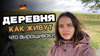 Как живут в деревнях в Германии / Что выращивают на полях / Работа в поле