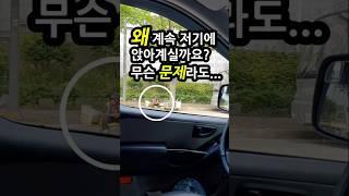 (37) 그 자리에 계속 앉아 계신 할머니 알고 보니 #폐지줍는할머니 #풋인솔 #감동실화 #짧은감동 #할머니이야기 #짧은영상 #유튜브숏츠 #일상속감동 #선한영향력