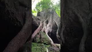 # Nature love , God's own Country,  Kerala Tourism  Location : Kochareekkal Caves