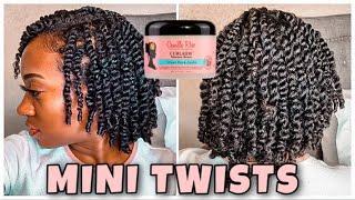 JUICY MINI TWISTS ON NATURAL HAIR | Protective Style