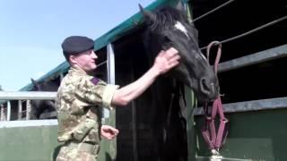 The Household Cavalry Mounted Regiment at the Royal Windsor Horse Show