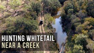 Hunting Whitetail Near a Creek