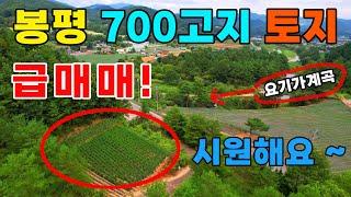 (급매물)가을에 팔아야합니다~ 700고지 봉평계곡 토지매매 #평창토지#계곡토지#봉평토지