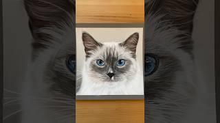 Part 2 of sharing my pastel cat drawings #animalart #animalartist #youtubeartist #catdrawing