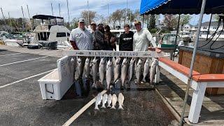 Lake Ontario Salmon Smackdown