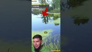 ЗДОРОВЫЙ АМУР #русскаярыбалка4 #рр4 #russianfishing4