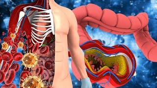 BLOOD CIRCULATION THROUGHOUT THE BODY // Cleanse Your Body & Soul | Positive Energy Flow, 432Hz...