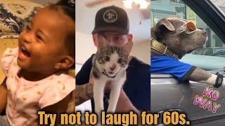 Funny Video - Try Not To Laugh for 60 seconds