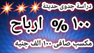 دراسة جدوى لعدد الف فرخة بيضة #تربية الدواجن #مشروع_مربح_جدا #ارباح مشروع الفراخ