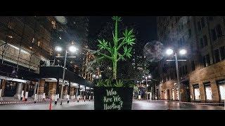 Artists build 2 Story Cannabis Plant in Sydney CBD for 420 | Who Are We Hurting?