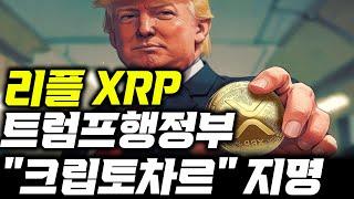 트럼프 행정부 리플 채택 , 크립토차르 #xrp