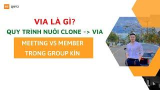 Via là gì? Quy trình nuôi clone trở thành Via chất - Qn92