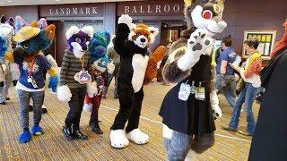 Montage of me (Jace Pendry) in the TFF 2019 Fursuit Parade