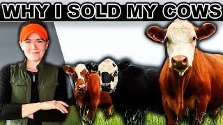‼️WHY I SOLD MY COWS IN A SKYROCKETING CATTLE MARKET (2024) Raising Beef Cattle Small Scale Pasture
