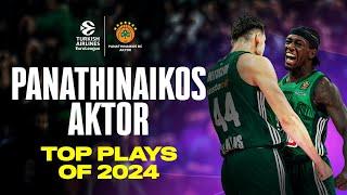 Panathinaikos BEST PLAYS 2024