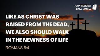 Romans 6:4 | Walking In The Newness Of Life | Daily Manna