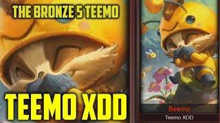 Teemo XDD- Where are they NOW?