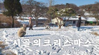 시골의 크리스마스. 겨울 감성. 시골 마당 풍경. 힐링 영상