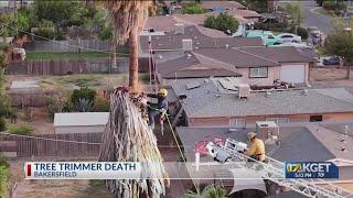 Tree trimmer death in east Bakersfield