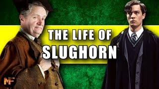 The Life of Horace Slughorn (Harry Potter Explained)