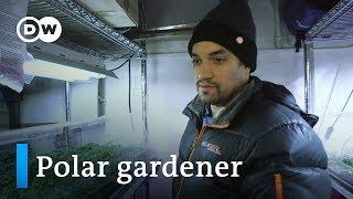 Growing greens in the Arctic | DW Documentary