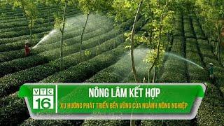 Nông Lâm kết hợp: Xu hướng phát triển bền vững của ngành nông nghiệp | VTC16