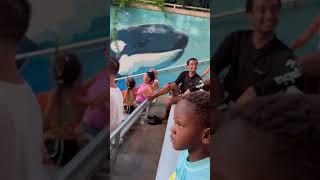 PEACH McINTYRE  GOES TO THE WHALE SHOW  AT SEAWORLD WITH HER HUSBAND  & 7 KIDS 