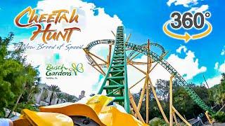 VR 360 Cheetah Hunt Roller Coaster On Ride Front Seat POV Busch Gardens Tampa 2024 09 30