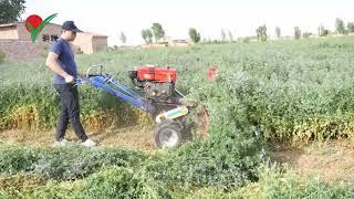 Alfalfa cut machine