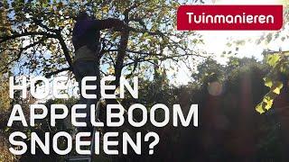 De appelboom snoeien, hoe doe je dat? | Herfst | Tuinmanieren