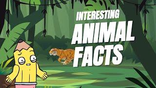 Interesting Animal Facts: Tigers, Lions, and Monkeys - An Adventure in the Animal Kingdom!