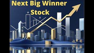 next multibagger stocks in india|Multibagger Hunting: Finding India's Undiscovered|Pashupati Cotspin