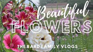 BEAUTIFUL FLOWERS|| I LOVE IT|| THE BARD FAMILY VLOGS