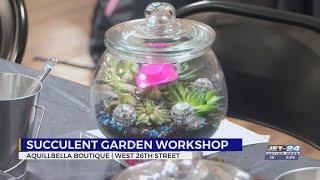 Novice gardeners learn tips to succeed in caring for succulents