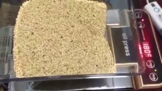 Fully automatic Small home use oil press machine for sesame with temperature control