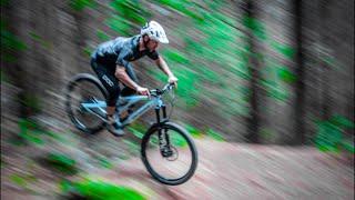 Stumpy in Wonderland - Specialized Stumpjumper Evo Comp Carbon