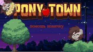 PONY TOWN | ПОМОЩЬ НОВИЧКУ | ФИШКИ ИГРЫ | ПЕРСОНАЖ В PONY TOWN (ПОНИ ТАУН)