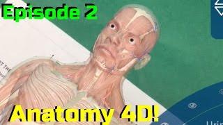 Episode 2 Anatomy 4D