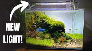 UNBOXING A BRAND NEW LIGHT FOR MY BETTA AQUASCAPE! AquaIllumination Blade